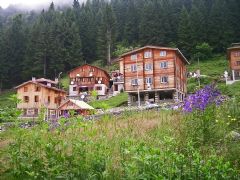 4-Days Tour - Eastern Black Sea, Trabzon & Rize