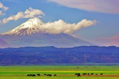 20 Days  Cappadocia East Turkey Black Sea Tour