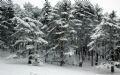 Winter in Taurus Mountains by Pomegranate Tour