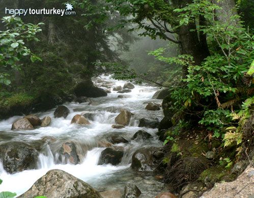 Ayder