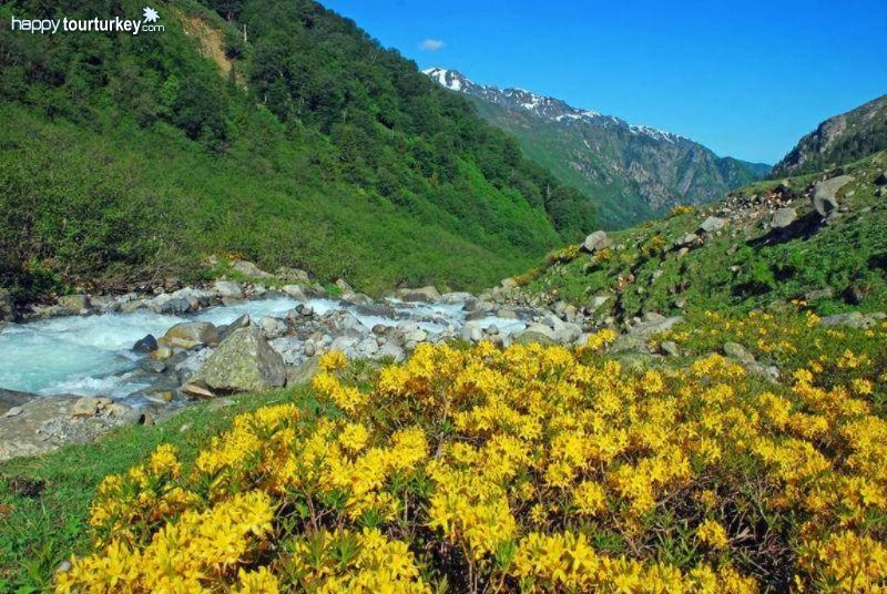 Black Sea Views by Pomegranate Tour