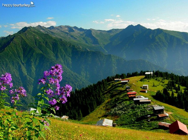 Black sea views by Pomegranate Tour