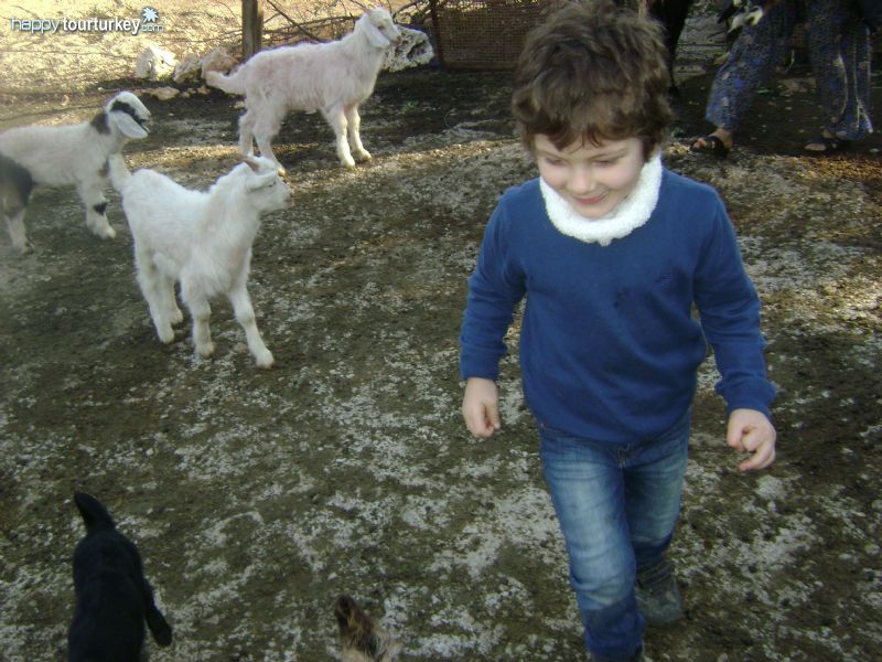 Life of Emirhan Uysal in Taurus Mountains