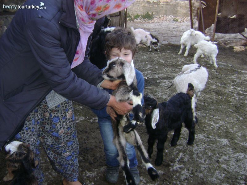 Nomads