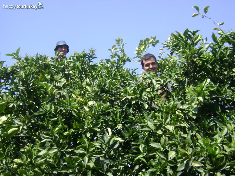 South Turkey, Antalya, Finike