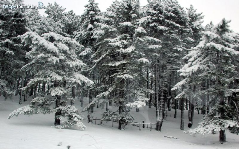 Winter in Taurus Mountains by Pomegranate Tour