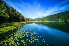 Daily Private Abant Lake Tour