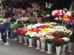 Antalya Pictures
