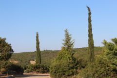 6-Day Tour -  Istanbul,  Gallipoli,  Troy  &  Ephesus