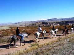 8 Days Istanbul - Cappadocia - Konya - Ephesus- Pamukkale  Tour