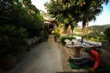 Hotel Villa Daffodil