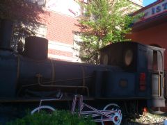 Gallipoli  Daily  Tour