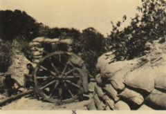 Gallipoli  Daily  Tour