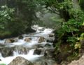 Ayder