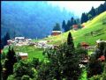 Black Sea Views by Pomegranate Tour