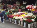 Flowe Shops in Taksim, İstanbul, Emirhan Uysal and Berkay Suna