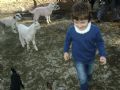 Life of Emirhan Uysal in Taurus Mountains