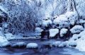 Winter Views from Abant, Bolu Abant Tours by Pomegranate Tour